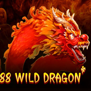 88 Wild Dragon Slot