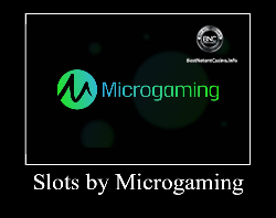 Microgaming company