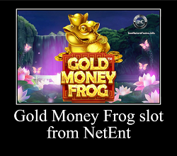 Gold Money Frog 