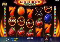 Hot To Burn: Hold & Spin