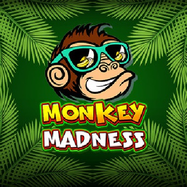 Monkey Madness Slot