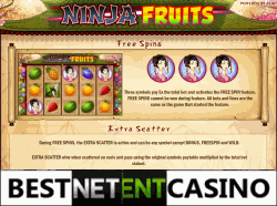 Ninja Fruits Paytable