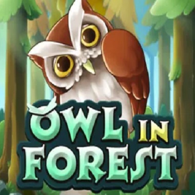 Owl In Forest Slot
