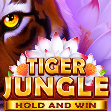 Tiger Jungle Hold and Win Slot