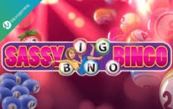 Enjoy Sassy Bingo (Microgaming)