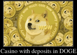 Best Dogecoin Casino in Canada - Safe and EASY payment With DOGE