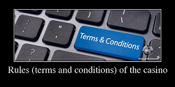 Online Casino Terms And Conditions In Canada. Awareness Of The Casino Rules