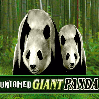 Untamed Giant Panda Slot