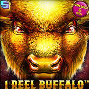 1 Reel Buffalo Slot