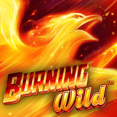 Burning Wild Slot