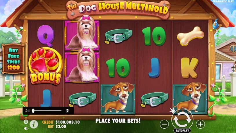 The Dog House Multihold Slot gameplay