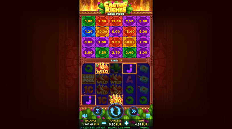 Cactus Riches Cash Pool Slot gameplay