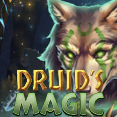 Druid’s Magic Slot