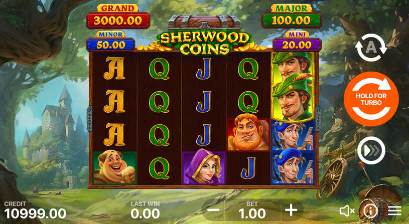 Sherwood Coins Hold and Win Slot gameplay