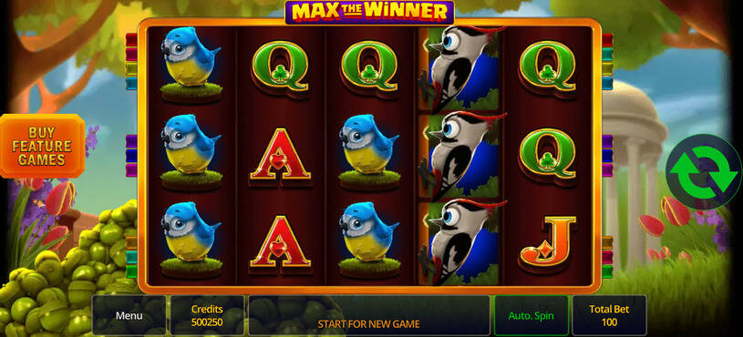 Max the Winner Slot gameplay