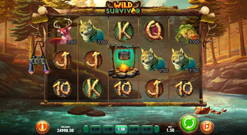 Wild Survivor Slot gameplay