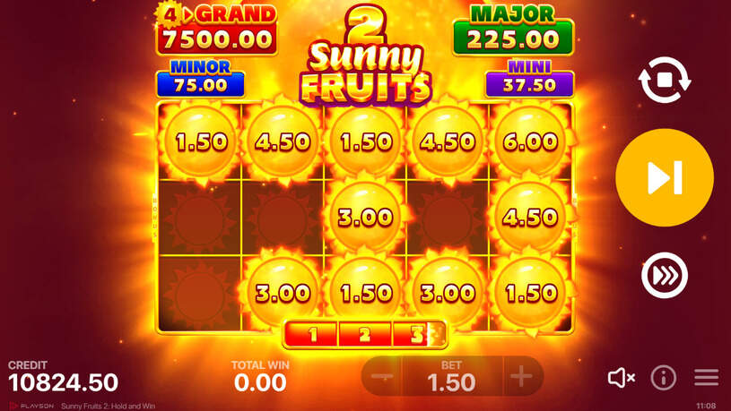 Sunny Fruits 2: Hold and Win Slot Bonus Game