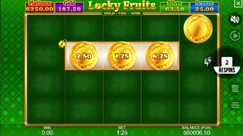 Locky Fruits: Hold the Spin Slot Bonus Game